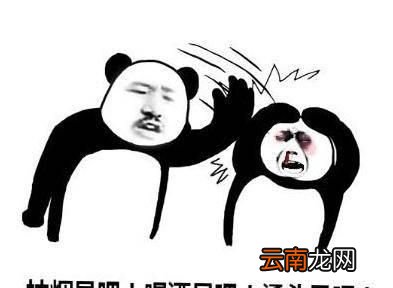 一瓶美白精华用半年活该你还是黑的