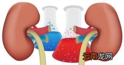 为什么饮茶有利于降血压