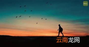 人生风景在游走 每当孤独我回首