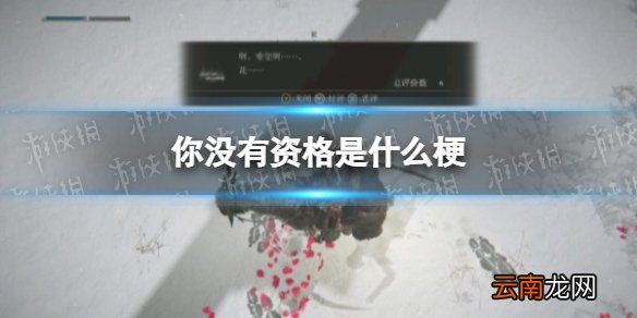 你没有资格是什么梗 你没资格啊你没资格什么梗