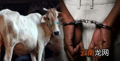 0什么是生殖隔离