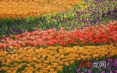 0什么是生殖隔离