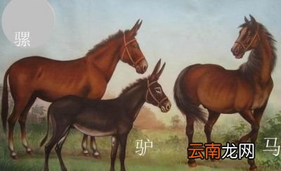 0什么是生殖隔离