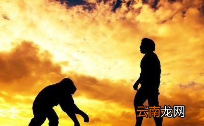 0什么是生殖隔离