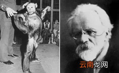 0什么是生殖隔离