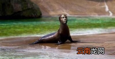 0什么是生殖隔离