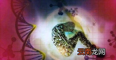 什么是生殖隔离