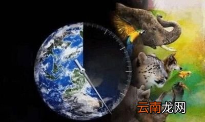 什么是生殖隔离