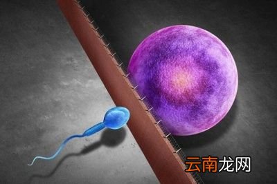 什么是生殖隔离