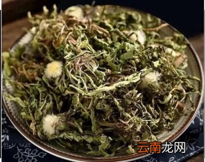 蒲公英还有通乳的作用