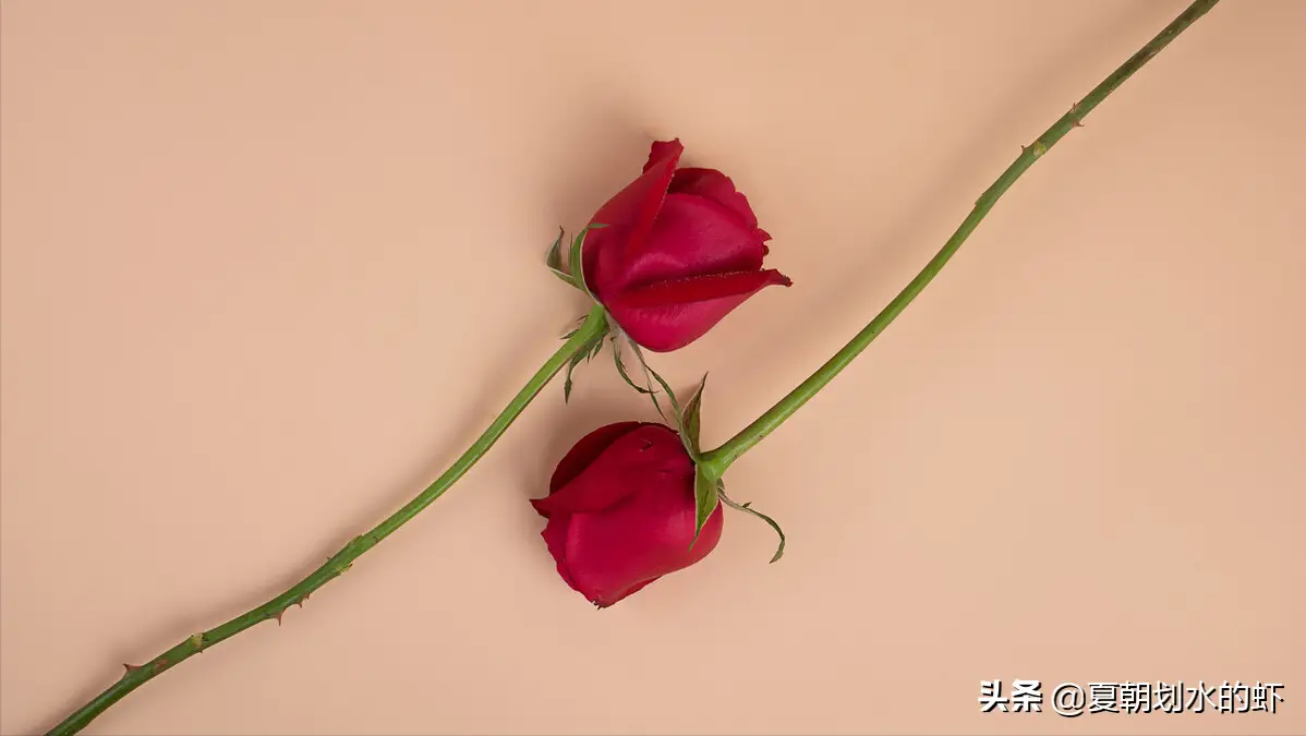 爱上一个人要多久 喜欢上一个人需要多久时间