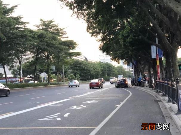 违规停车收费处罚多少钱 2021违章停车怎么处理