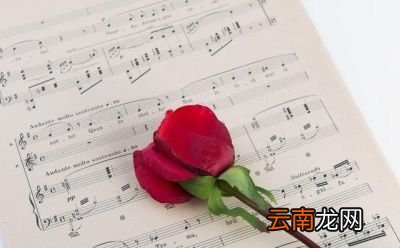 分期真能增加信用额度吗这种说辞太扯了