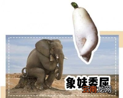 脂肪型粗腿丨瘦腿方法