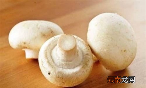 口蘑里面黑色绒毛可以吃吗