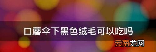 口蘑里面黑色绒毛可以吃吗