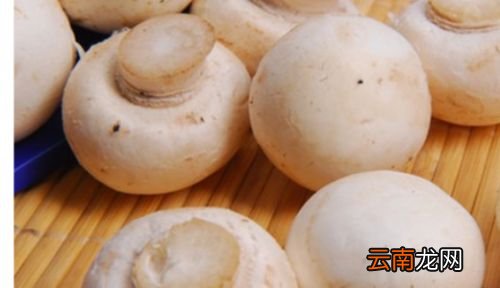 口蘑里面黑色的怎么弄