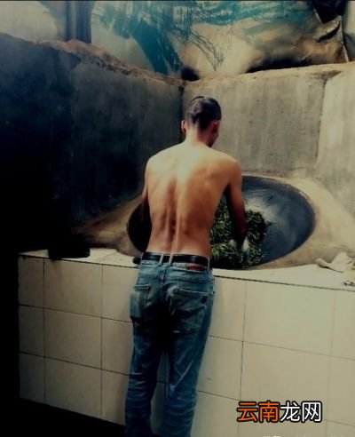 中国哪里的茶叶比较好