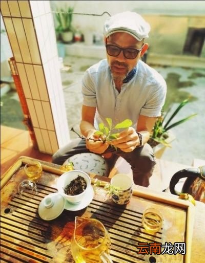 中国哪里的茶叶比较好