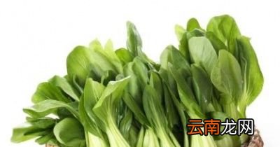 有哪些绿蔬菜适合用蚝油炒