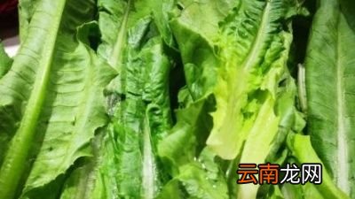 有哪些绿蔬菜适合用蚝油炒