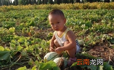 什么是“大暑热不透大热在秋后”呢