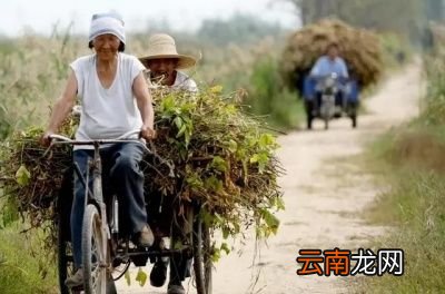 大暑热不透大热在秋后今年立秋会热吗