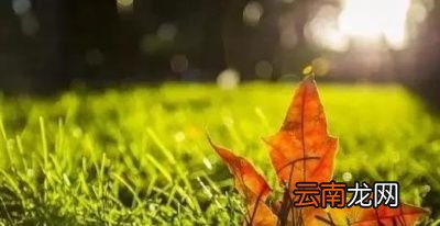 今年的立秋会不会气温很高