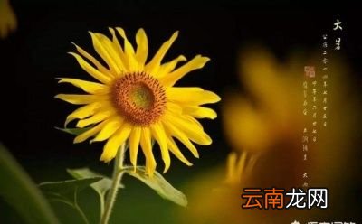 大暑热不透大热在秋后今年的立秋会热吗