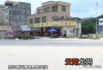 遗弃婴儿怎么定罪 遗弃罪遗弃孩子案例