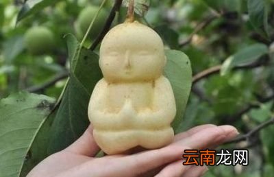 我想问这人参果到底是比喻个什么东西呢