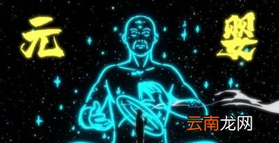 我想问这人参果到底是比喻个什么东西呢