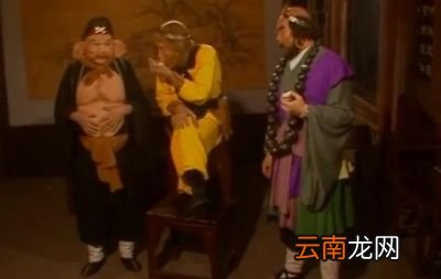 我想问这人参果到底是比喻个什么东西呢