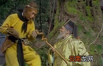 我想问这人参果到底是比喻个什么东西呢