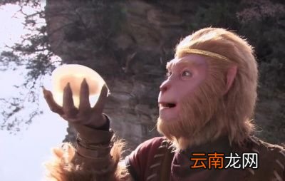 我想问这人参果到底是比喻个什么东西呢