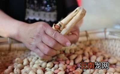 花生带壳种好还是不带壳好呢