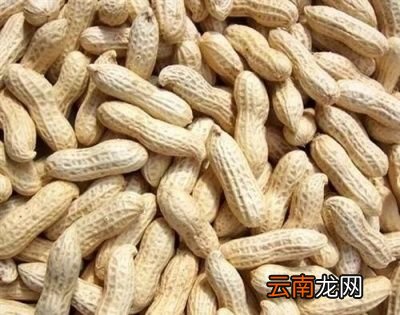 花生播种是仁播好还是果播好