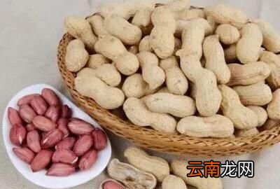 花生播种是仁播好还是果播好