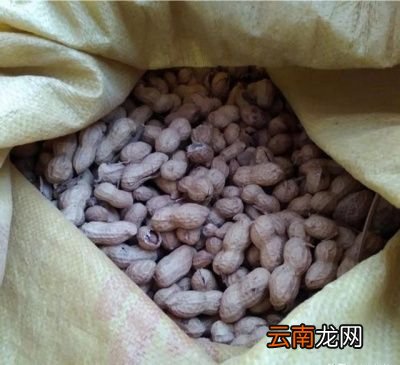 种植花生带壳和不带壳哪个更好