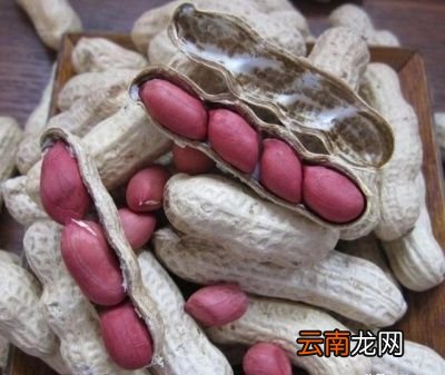 种植花生带壳和不带壳哪个更好