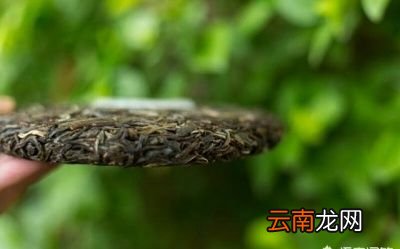 普洱茶发霉原因
