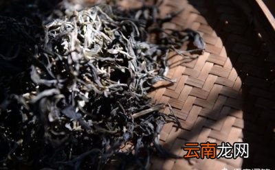发霉的普洱茶该如何处理