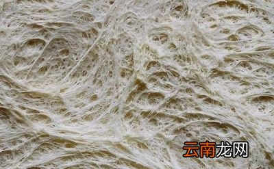 泡打粉和酵母粉区别