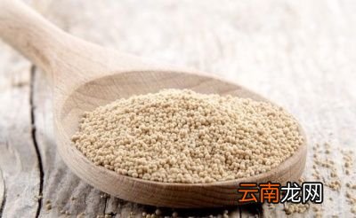 最后泡打粉和酵母哪个发面更快