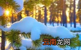 现在改名字好改吗 改名字需要提交什么资料