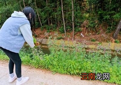 红糖煮鸡蛋的好处有以下四点