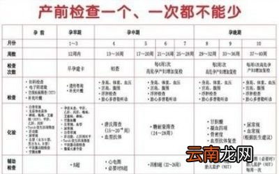 怀孕12周需要做哪些检查
