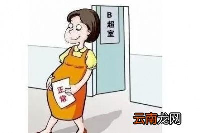 怀孕12周需要做哪些检查