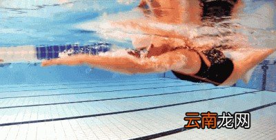 如何快速学会游泳