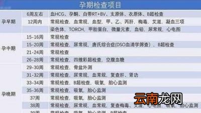孕期12周可以去医院建档了吗